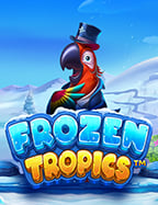 วิธีเล่นโปกเกอร์ sbobet สำหรับมือใหม่ เข้าใจง่าย